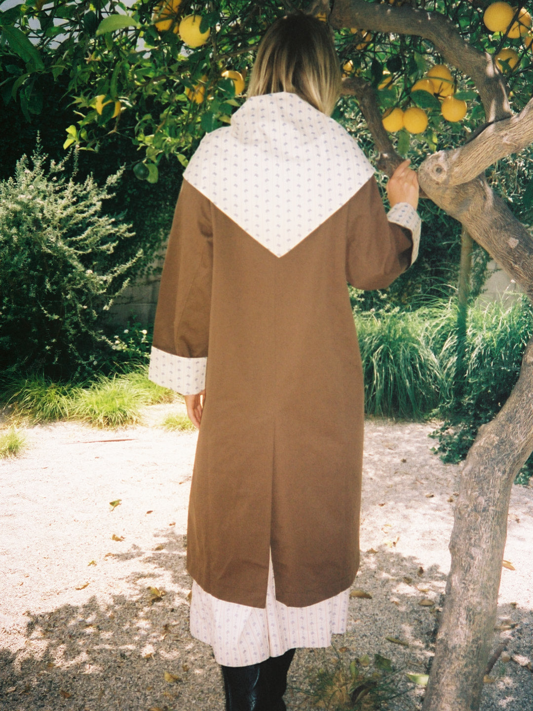Olson Trench